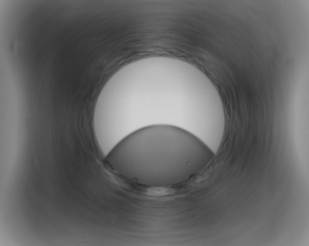 X0000116150231200911230958