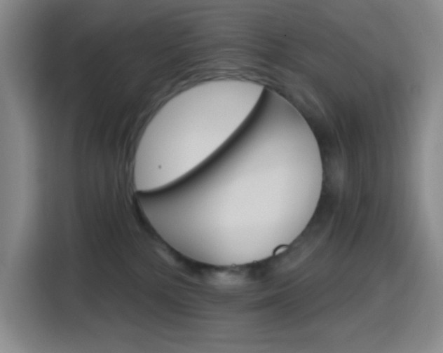 X0000116150232200911230958