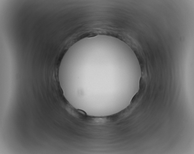 X0000116150233200911230958