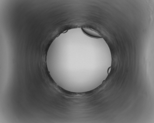 X0000116150236200911230958