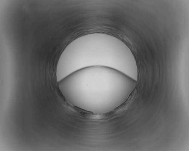 X0000116150237200911230958