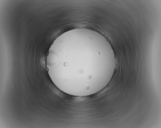 X0000116150238200911230958