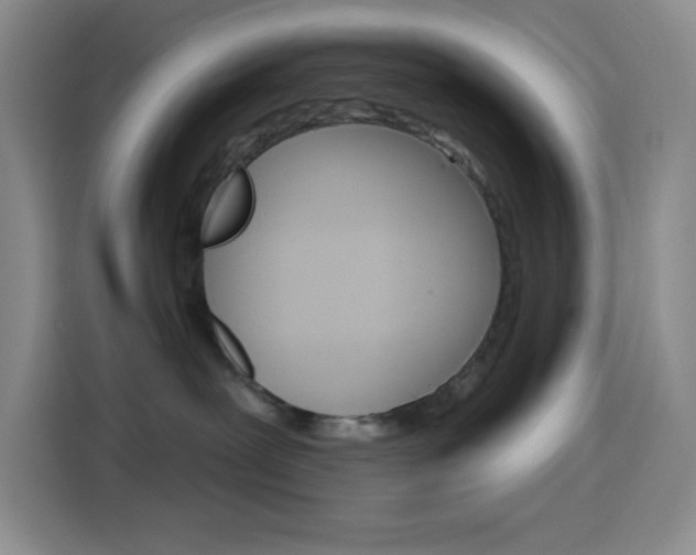 X0000116150239200911230958