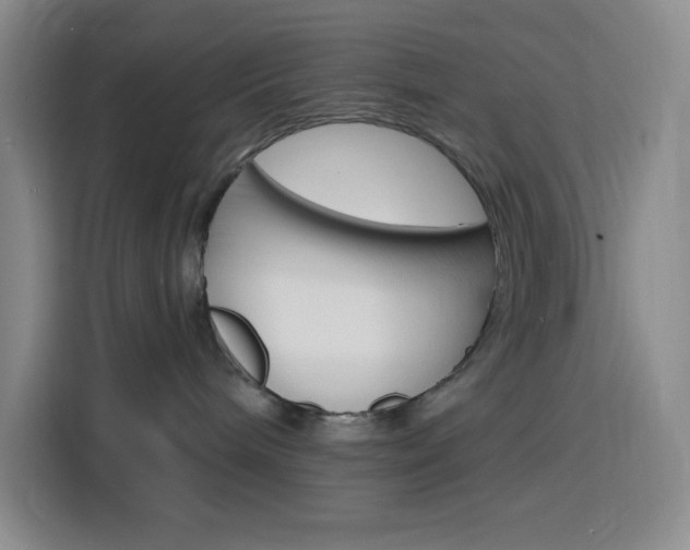 X0000116150240200911230958