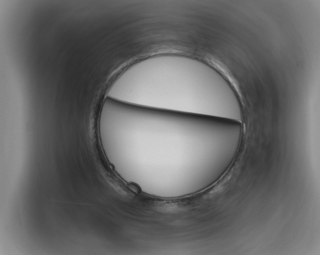 X0000116150249200911230957