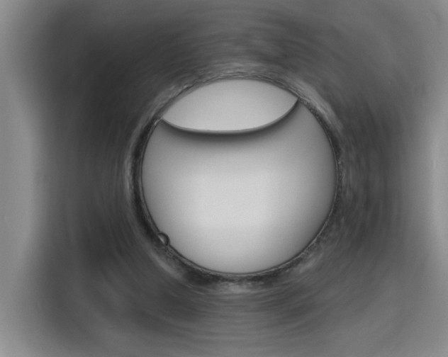 X0000116150250200911230957