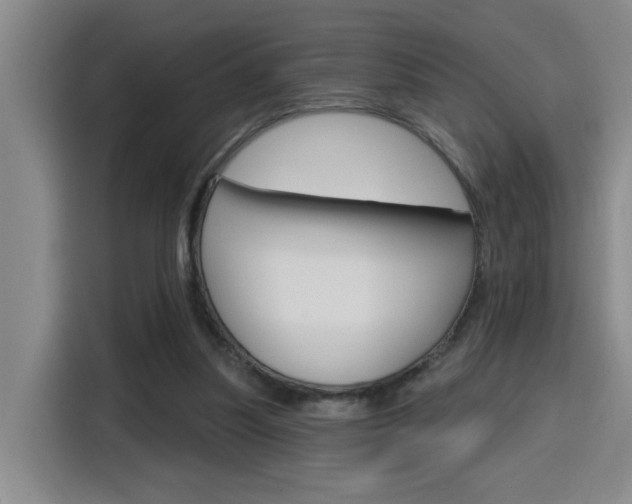 X0000116150251200911230957