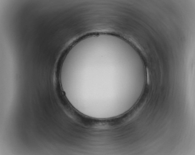 X0000116150252200911230957