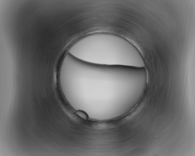 X0000116150253200911230957