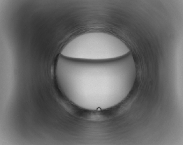 X0000116150262200911230957