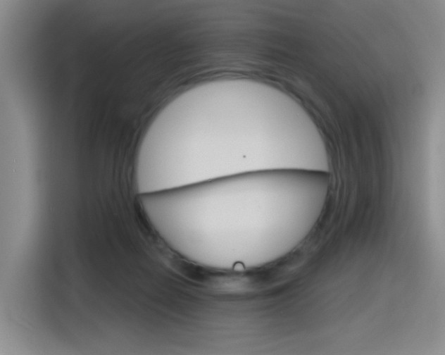 X0000116150266200911230957