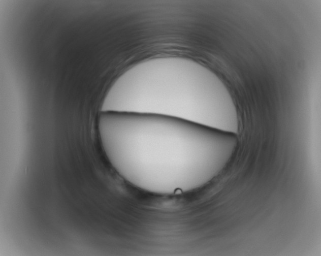 X0000116150267200911230957