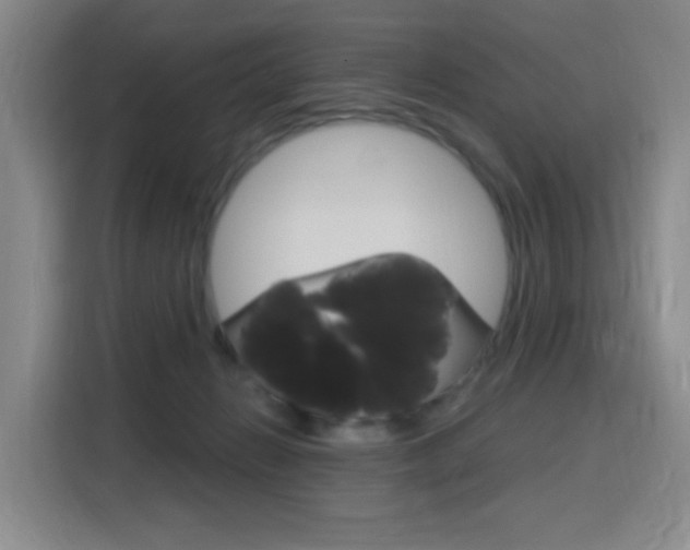 X0000116150270200911230957