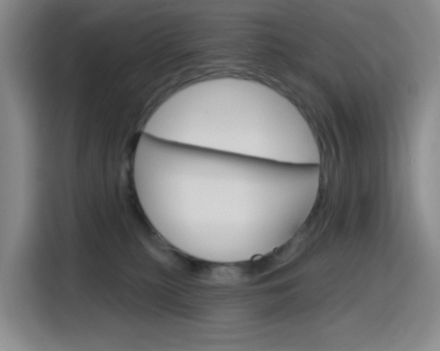 X0000116150279200911230958