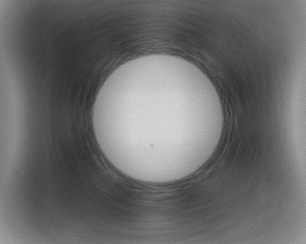 X0000116150280200911230958