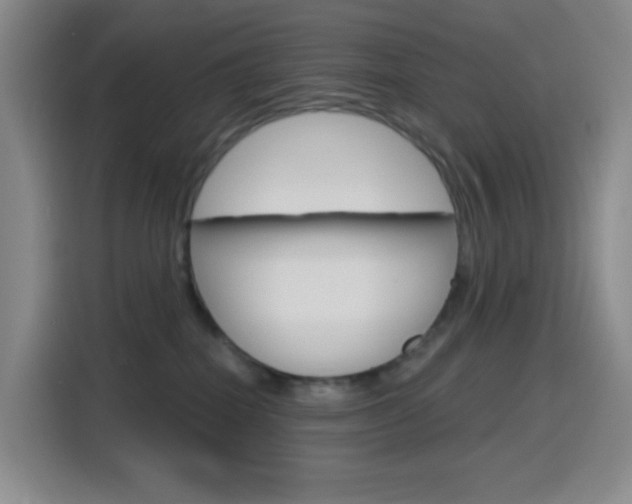 X0000116150282200911230958