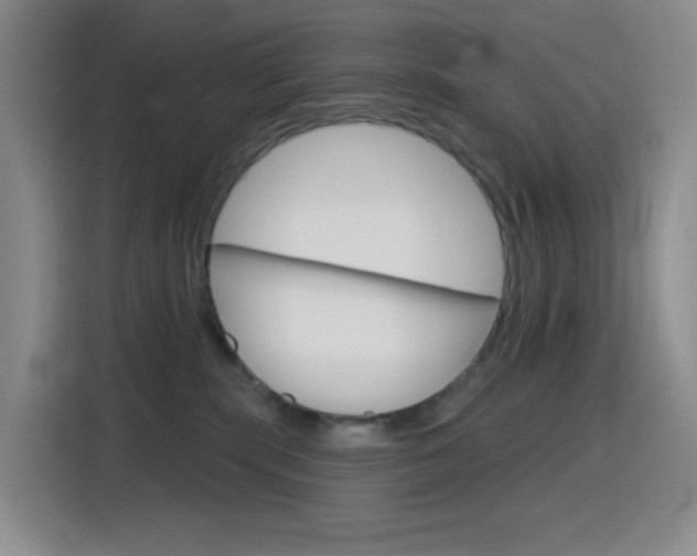 X0000116150283200911230958