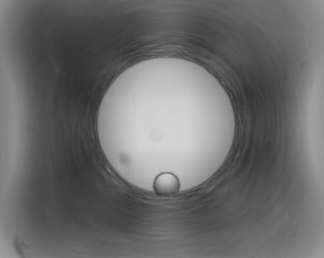 X0000116150284200911230958