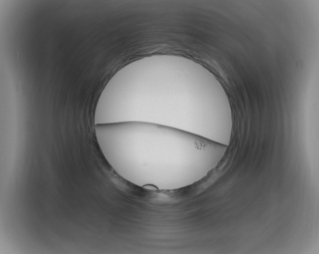 X0000116150285200911230958