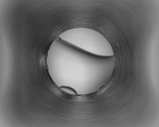 X0000116150286200911230958