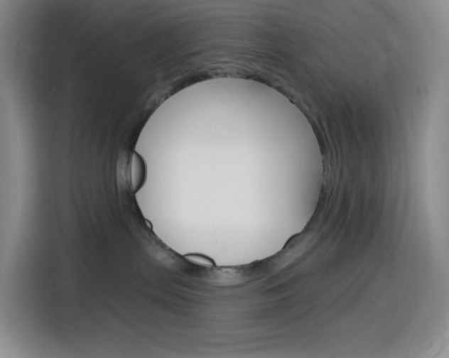 X0000116150287200911230958