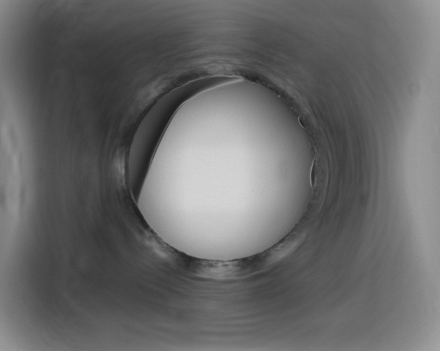 X0000116150288200911230958