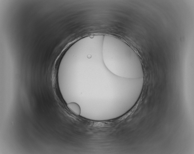X0000116150290200911230957