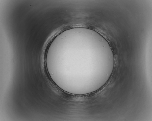 X0000116150293200911230957