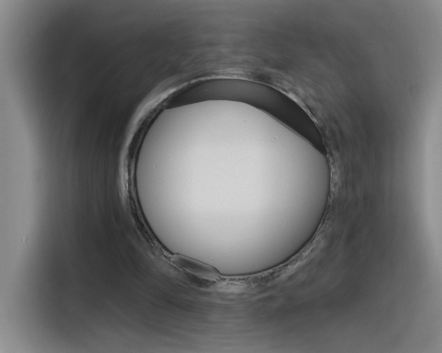 X0000116150294200911230957