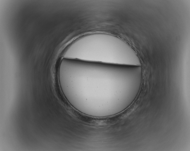 X0000116150295200911230957