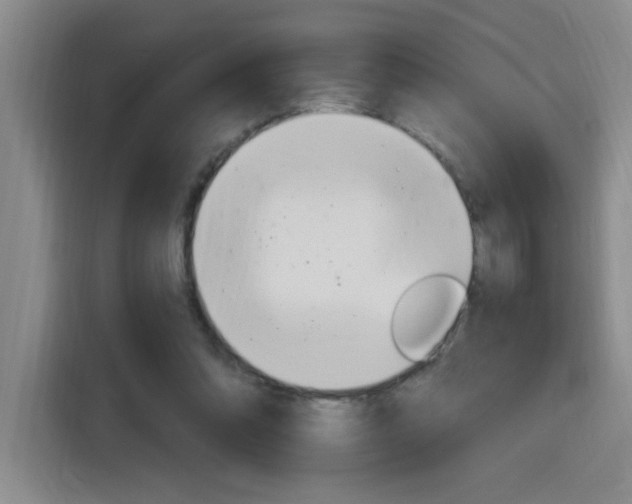 X0000116150302200911230957
