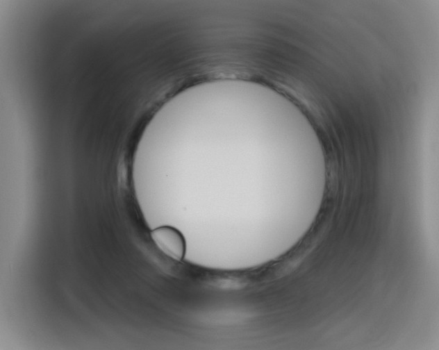 X0000116150310200911230957