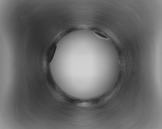 X0000116150312200911230957