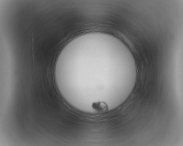 X0000116150313200911230957