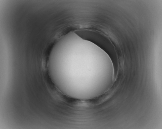 X0000116150316200911230957