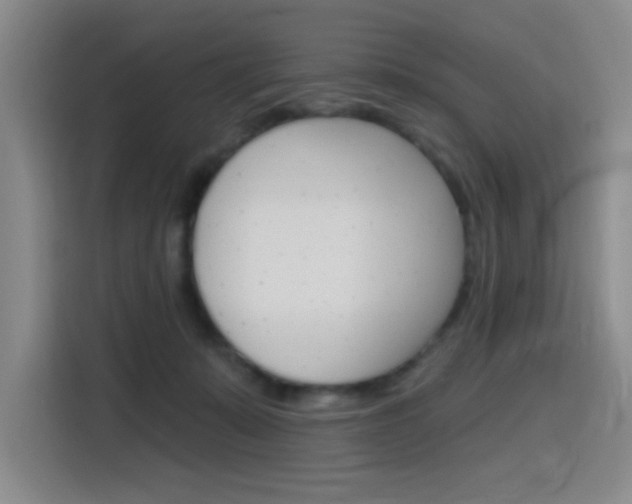 X0000116150319200911230957