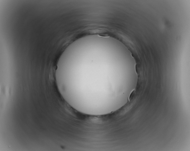 X0000116150325200911230957