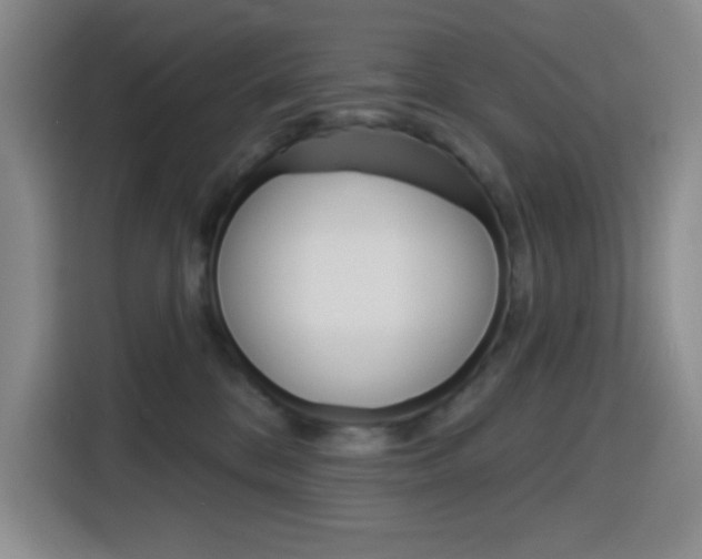 X0000116150328200911230956