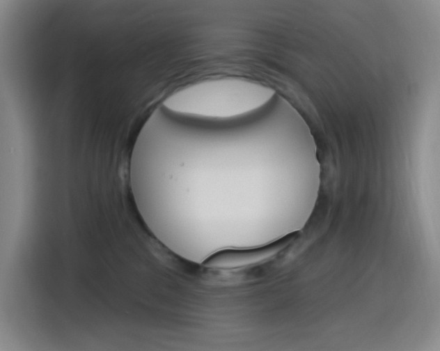 X0000116150329200911230956