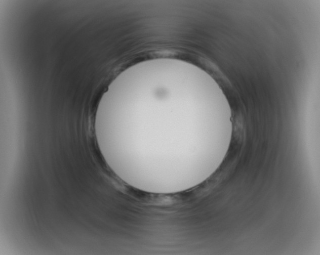 X0000116150330200911230956