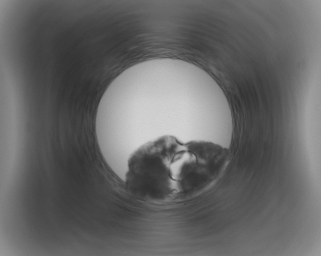 X0000116150331200911230956
