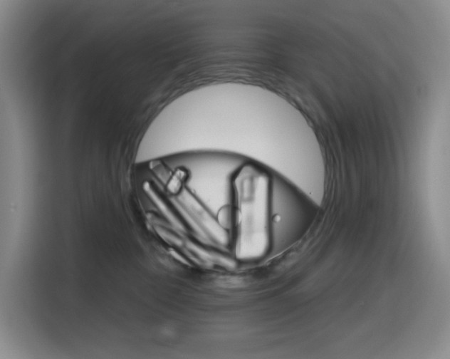 X0000116150332200911230956