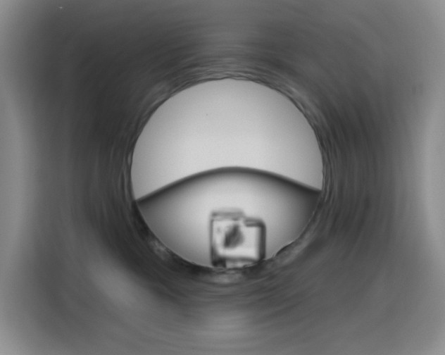 X0000116150333200911230956