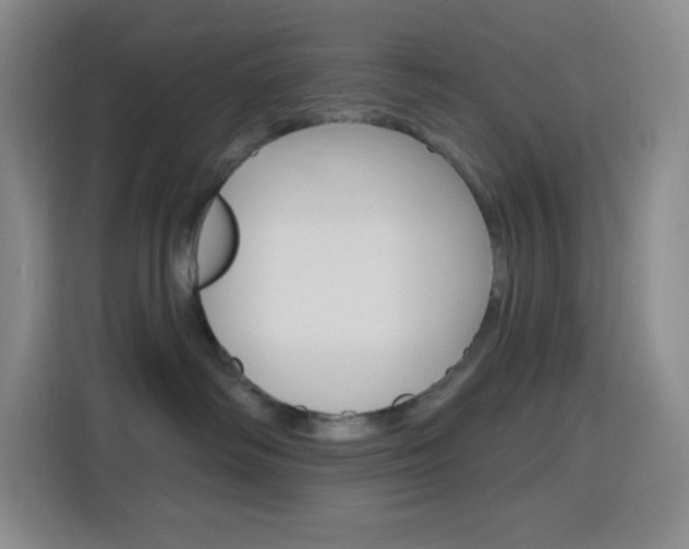 X0000116150334200911230956