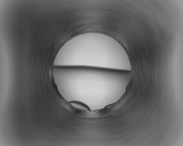 X0000116150335200911230956