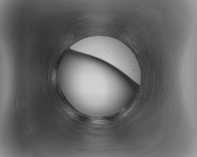 X0000116150336200911230956