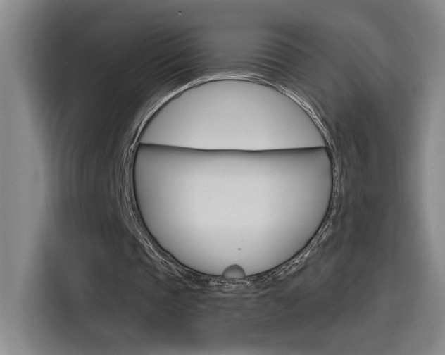 X0000116150337200911230956