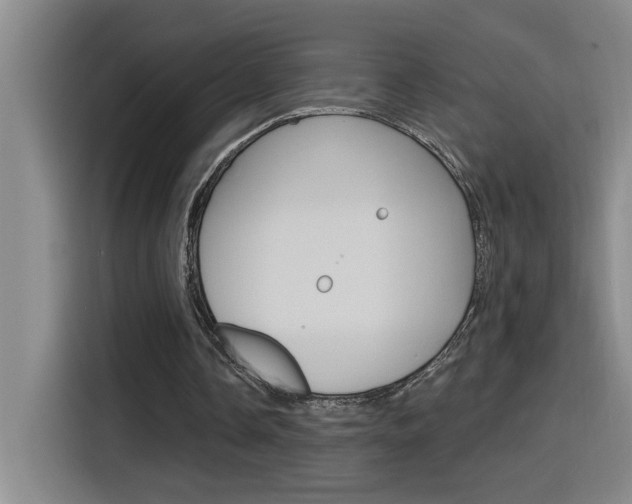 X0000116150338200911230956