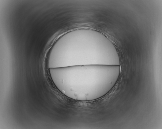 X0000116150339200911230956