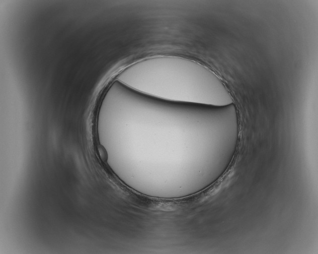 X0000116150341200911230956